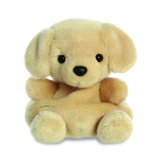 PP Sunny Labrador Dog