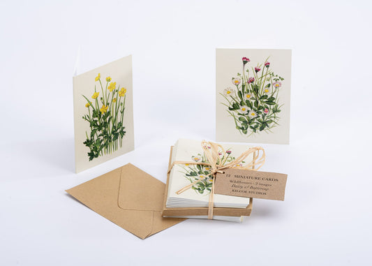 Mini Wildflower Greeting Cards - Speedwell and Vetch