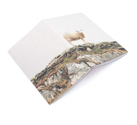 The Lookout A5 Blank Notebook