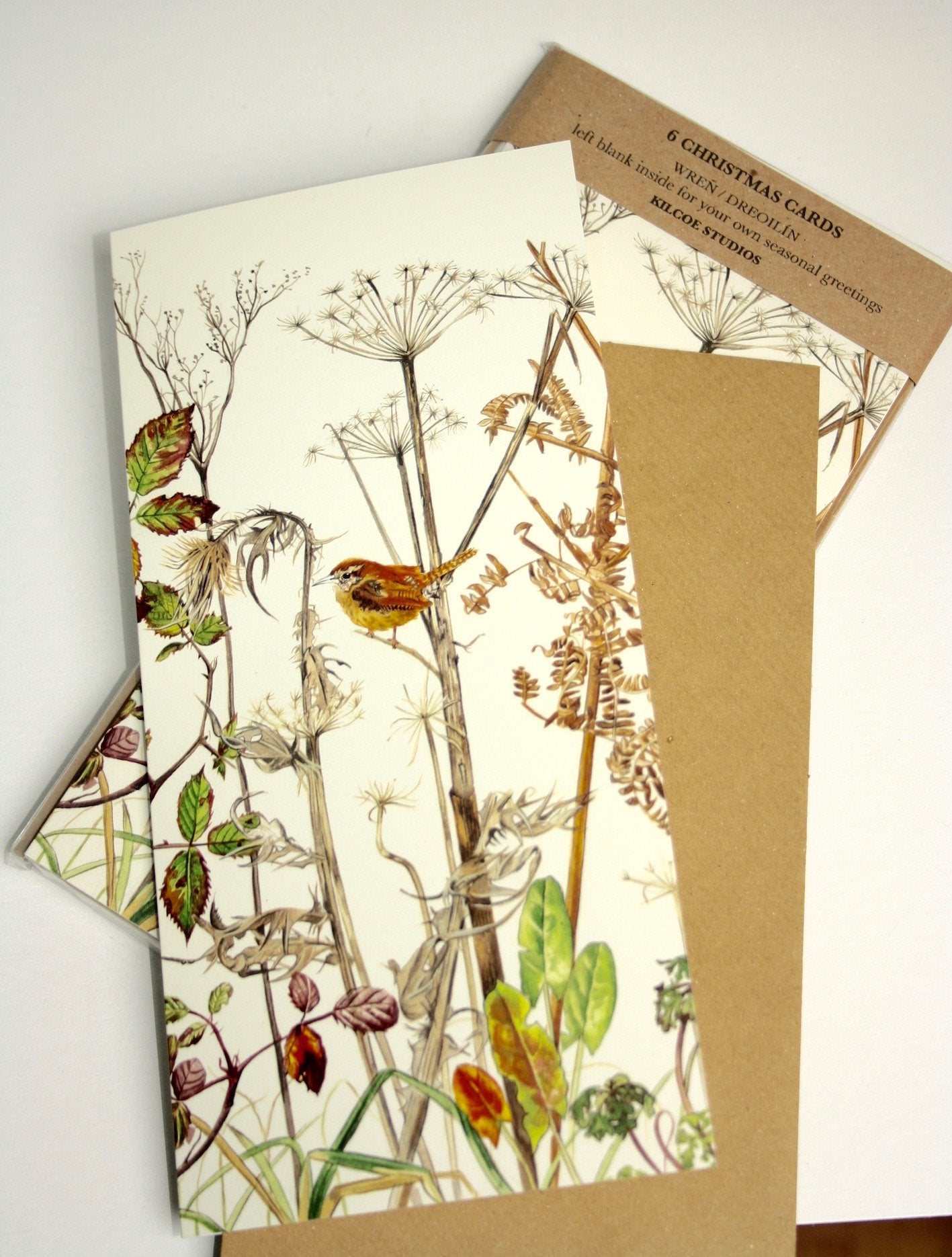 Kilcoe Wren Christmas Cards