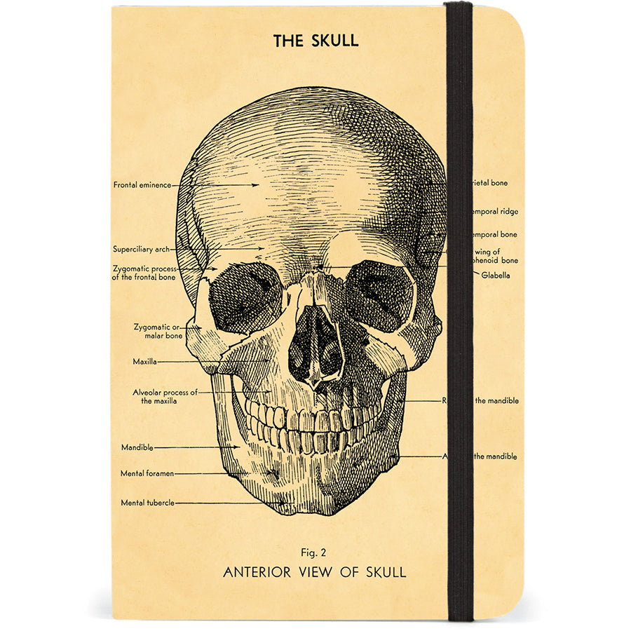 The Skull Notebook - CAVALLINI