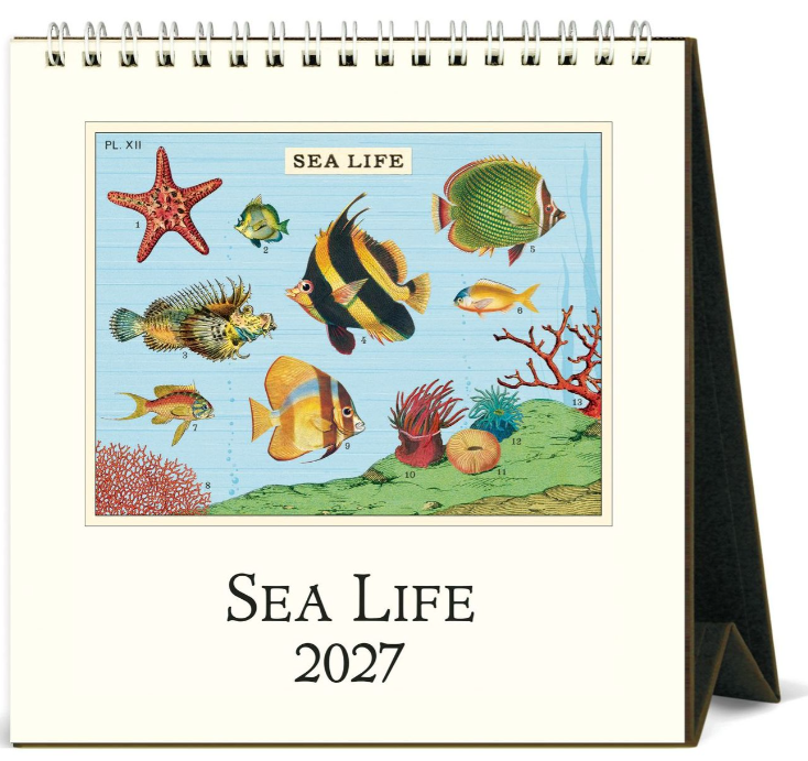 Sea Life Desk Calendar 2027