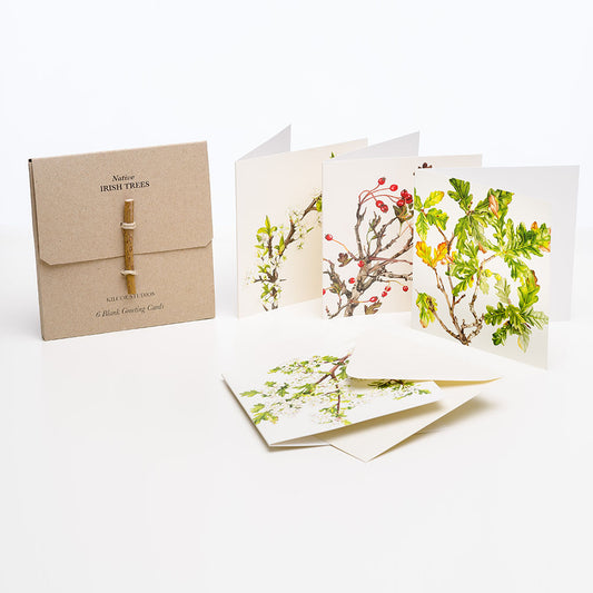 A brown card box is held closed by a small branch. Beside it stand three white cards with tree illustrations. One is a branch with green leaves and shite leaves. Another is a bare branch with red berries. And the last is branch with big, green leaves.