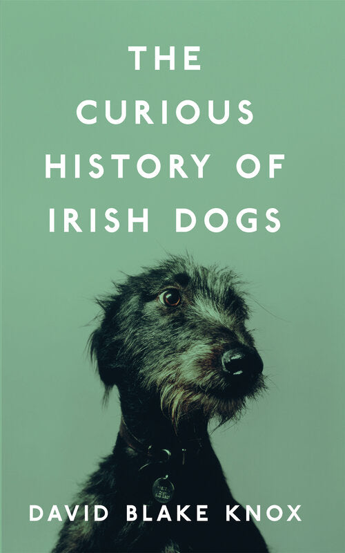 A sage green cover with a photo of a black dog from the shoulders up in the bottom half. The top half is the title in white capital letters.